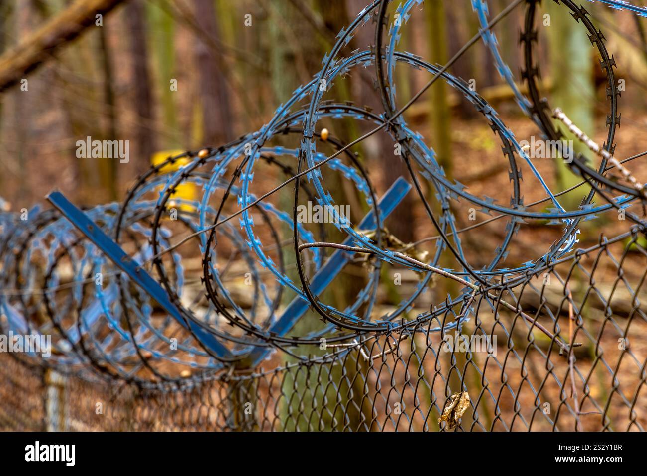 Pozzi di fuoco nella foresta sulla costa di Gdynia, monumenti militari, posizioni di artiglieria, luoghi storici della seconda guerra mondiale Foto Stock