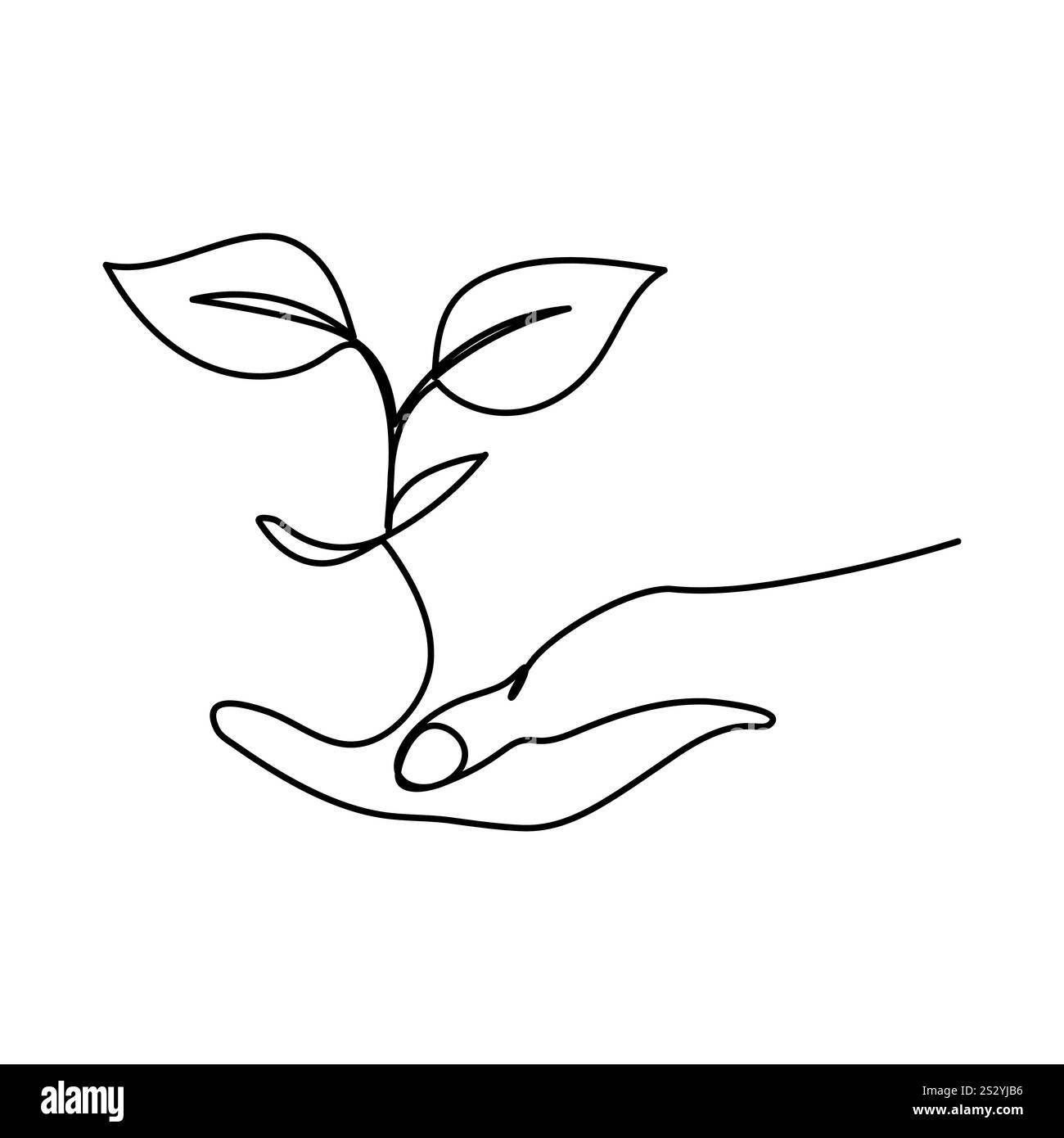 Illustrazione vettoriale del processo di crescita delle piante disegno continuo di una linea Illustrazione Vettoriale