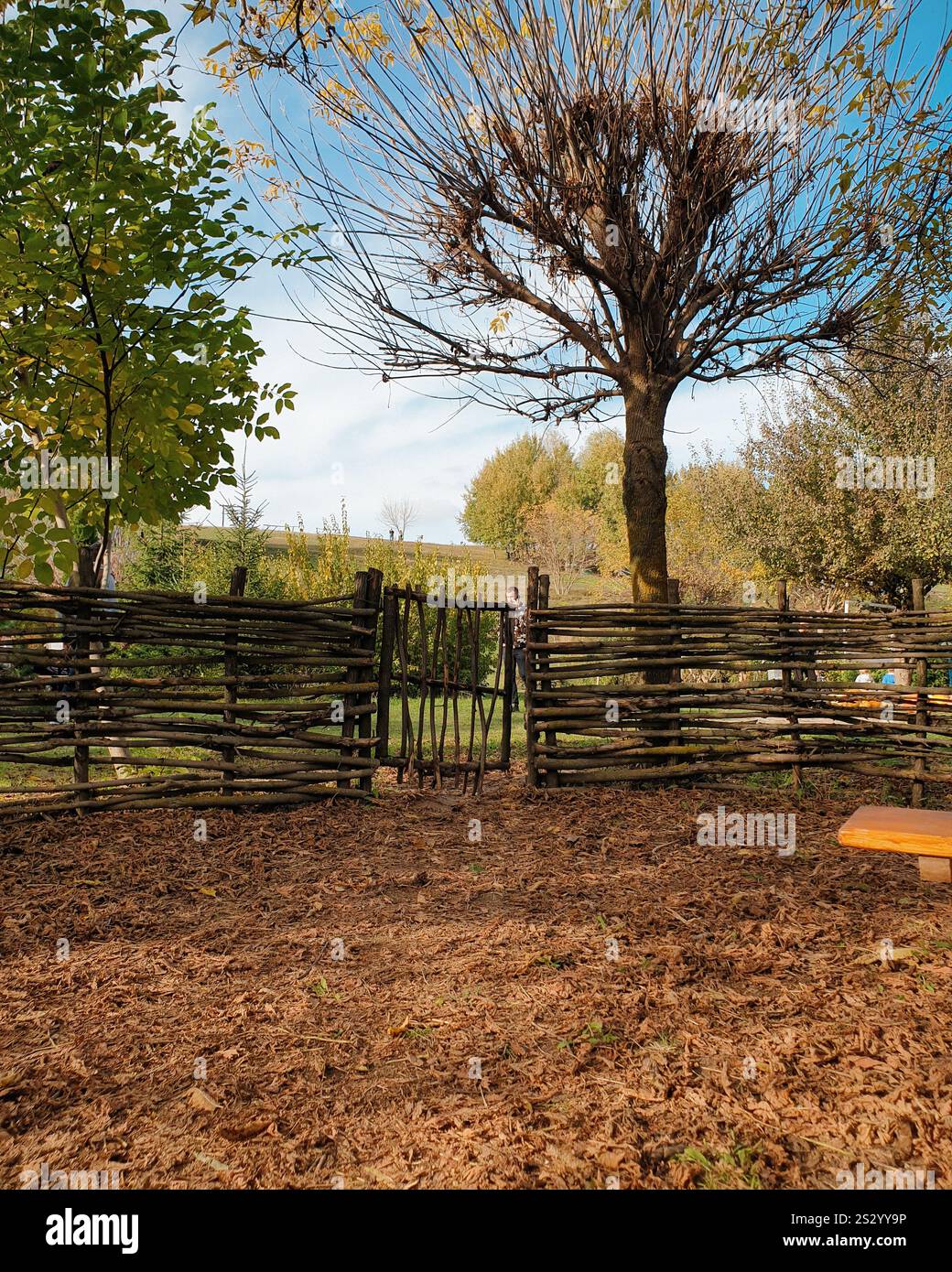 Una recinzione in vimini con cancello nel giardino autunnale. Recinzione bassa tra un albero nel cortile posteriore, terreno ricoperto di foglie cadute, campagna autunnale nel retro. Foto Stock
