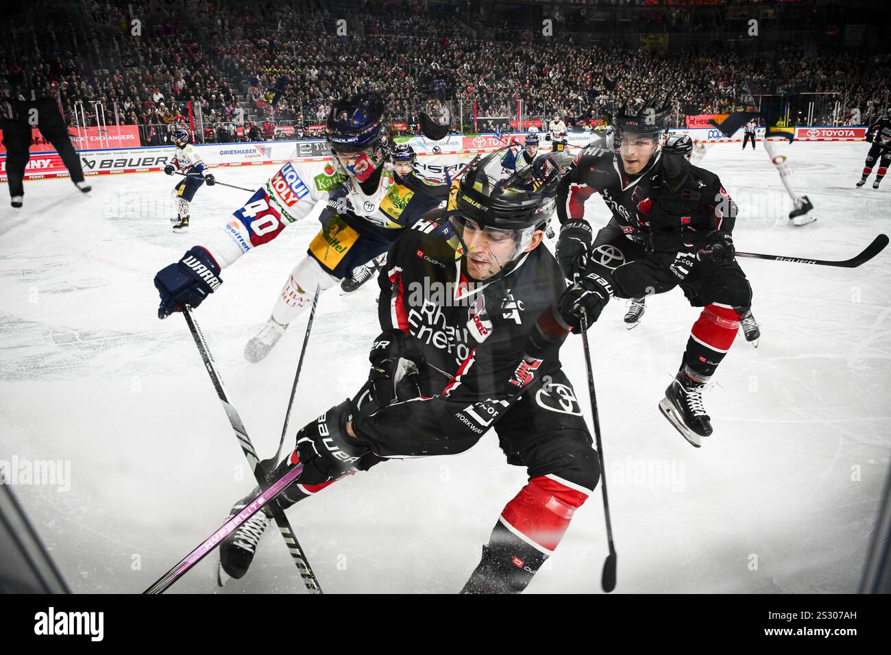 COLONIA, GERMANIA - 7 GENNAIO 2025: Robin van Calster - partita di hockey su ghiaccio DEL Koelner Haie - Eisbaeren Berlin alla LANXESS ARENA. Per uso editoriale su Foto Stock