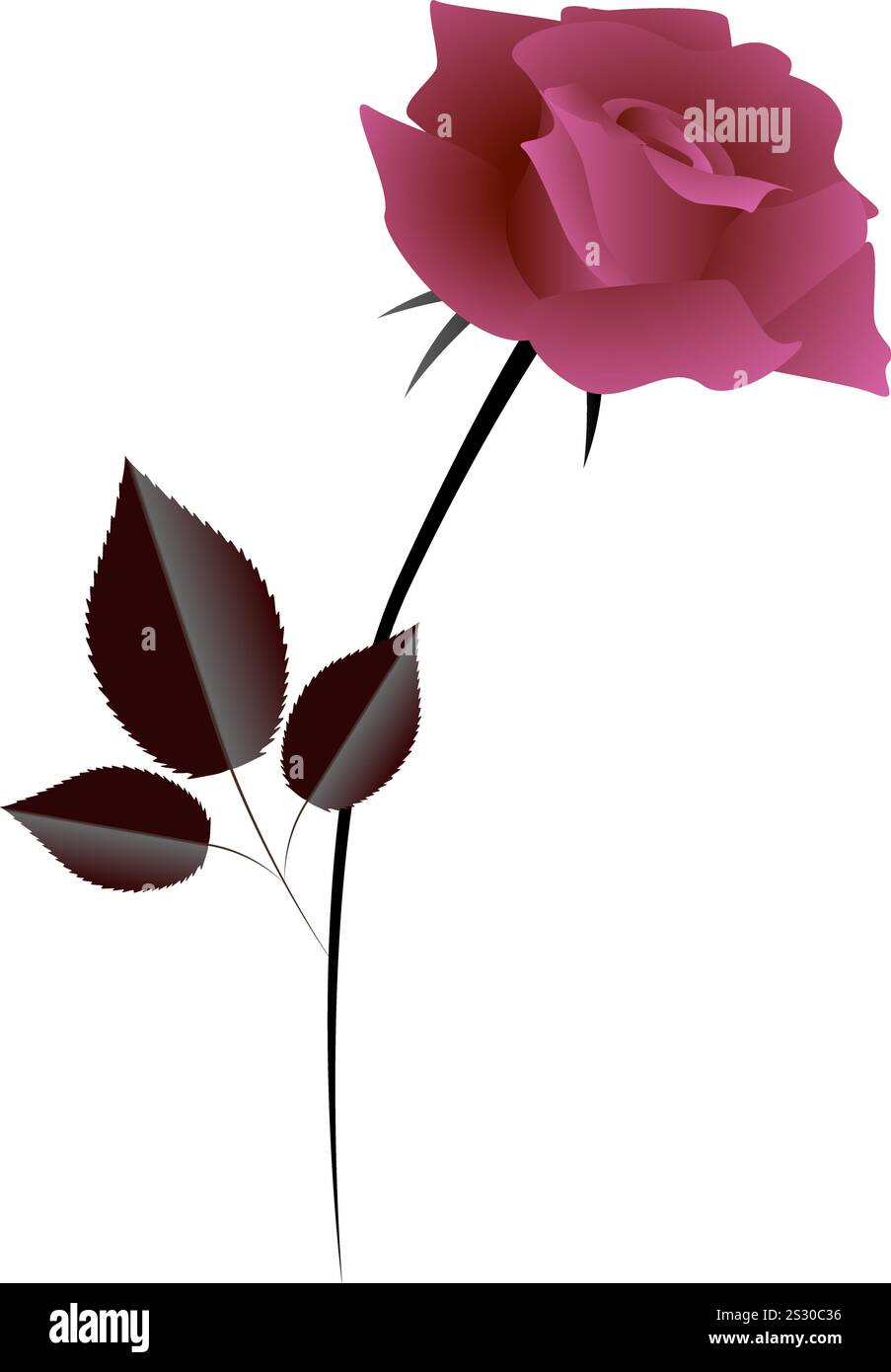 Il design di una rosa. Illustrazione Vettoriale