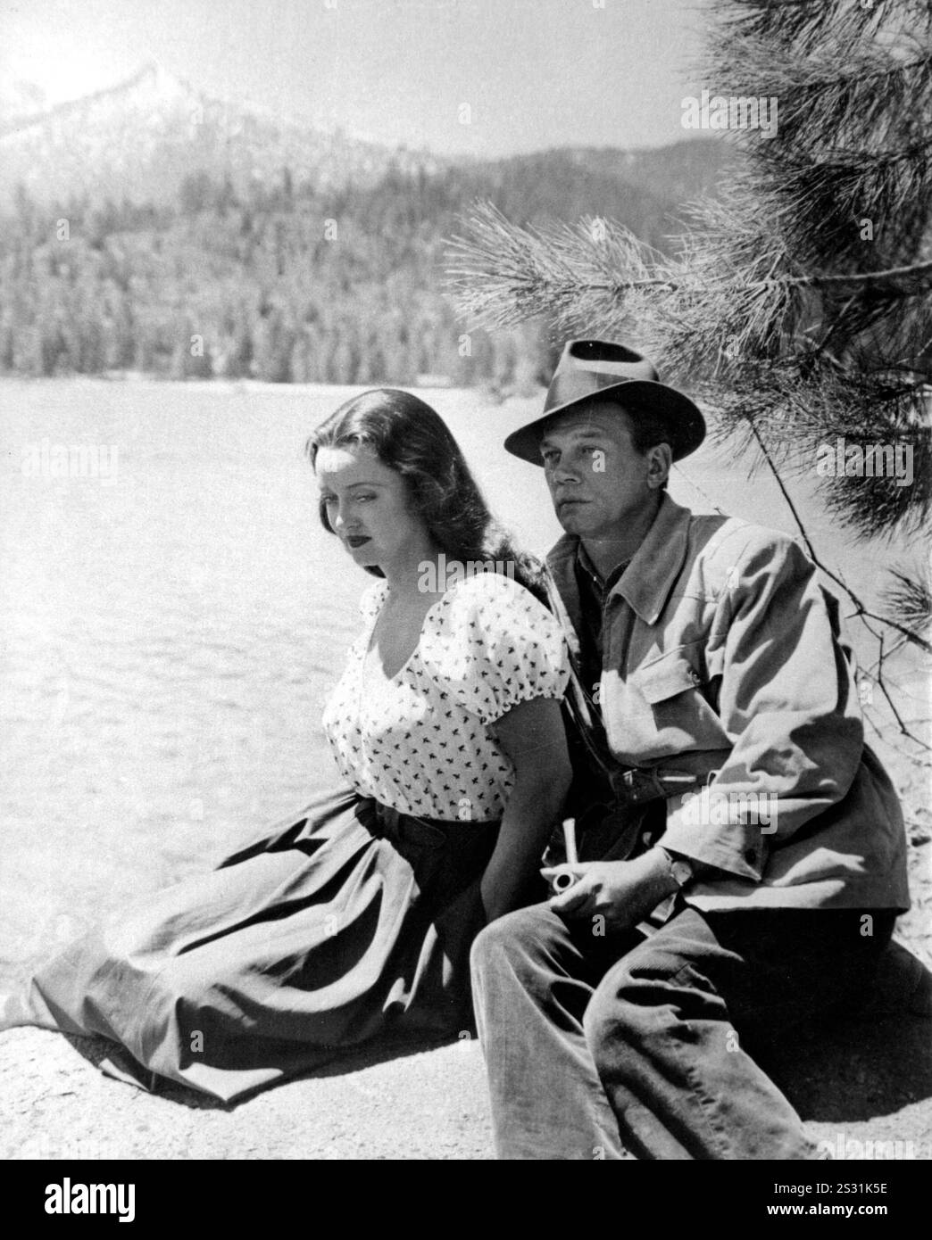 OLTRE LA FORESTA DI BETTE DAVIS, JOSEPH COTTEN data: 1949 Foto Stock