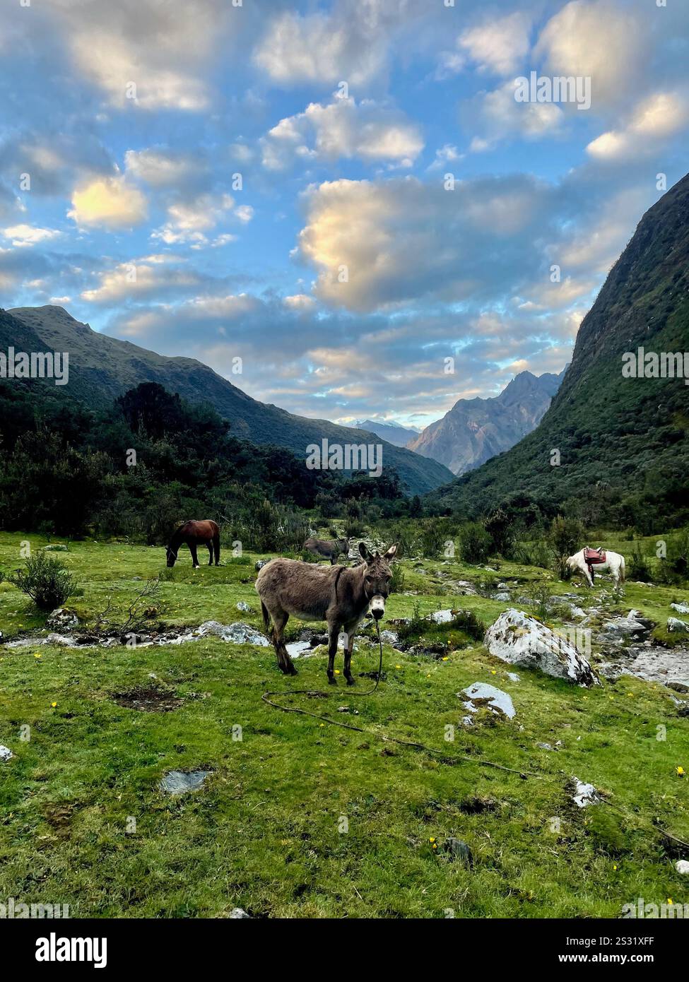 Trekking in Sud America - Immagine stock catturata con smartphone