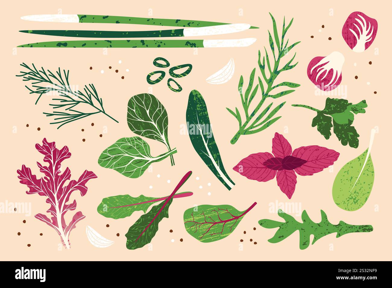 Erbe fresche per insalata. Foglie verdi ingredienti naturali biologici, cibo vegetariano sano elementi botanici per cucinare. Set di cartoni animati vettoriali Illustrazione Vettoriale