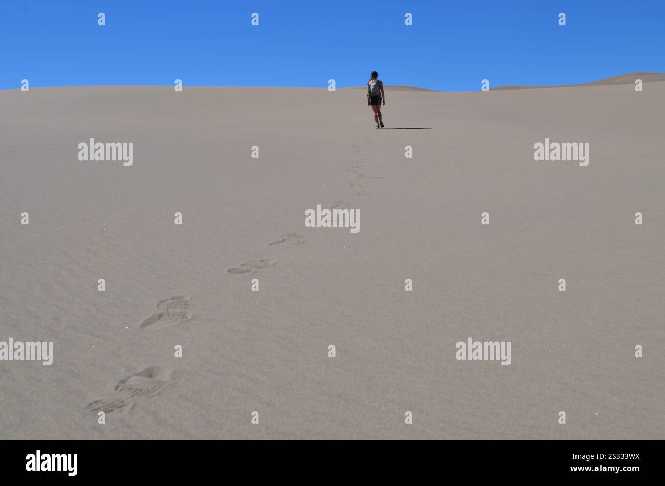 Un escursionista solitario cammina attraverso ampie dune di sabbia sotto un cielo blu brillante, lasciando una scia di impronte nella sabbia soffice del Great Sand Dunes NP. Foto Stock