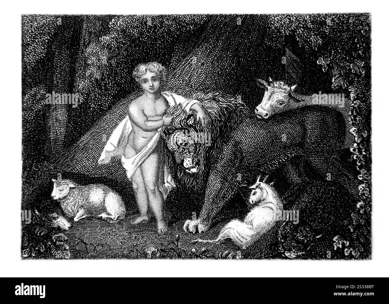 Incisione d'acciaio del buon Pastore - il lupo vivrà con l'agnello, il leopardo si stenderà con la capra, il vitello, il leone e l'yearlin Foto Stock