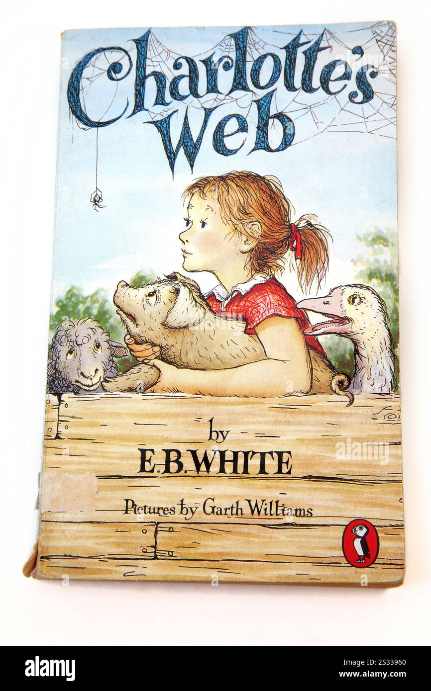Libro per bambini Charlotte's Web di E.. B bianco Foto Stock