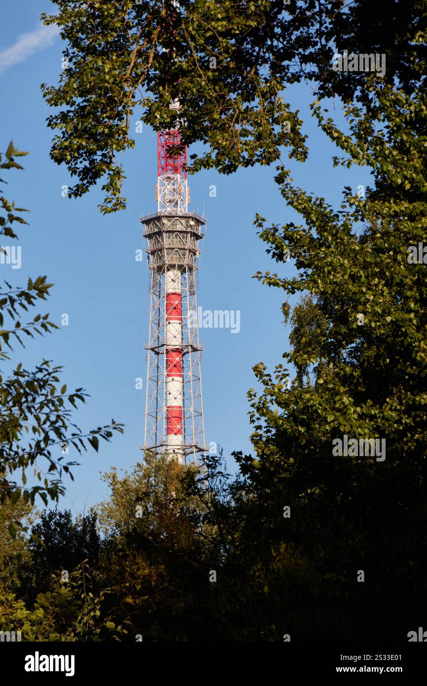 Una splendida torre delle telecomunicazioni è circondata da una natura lussureggiante, che ne esalta il fascino Foto Stock