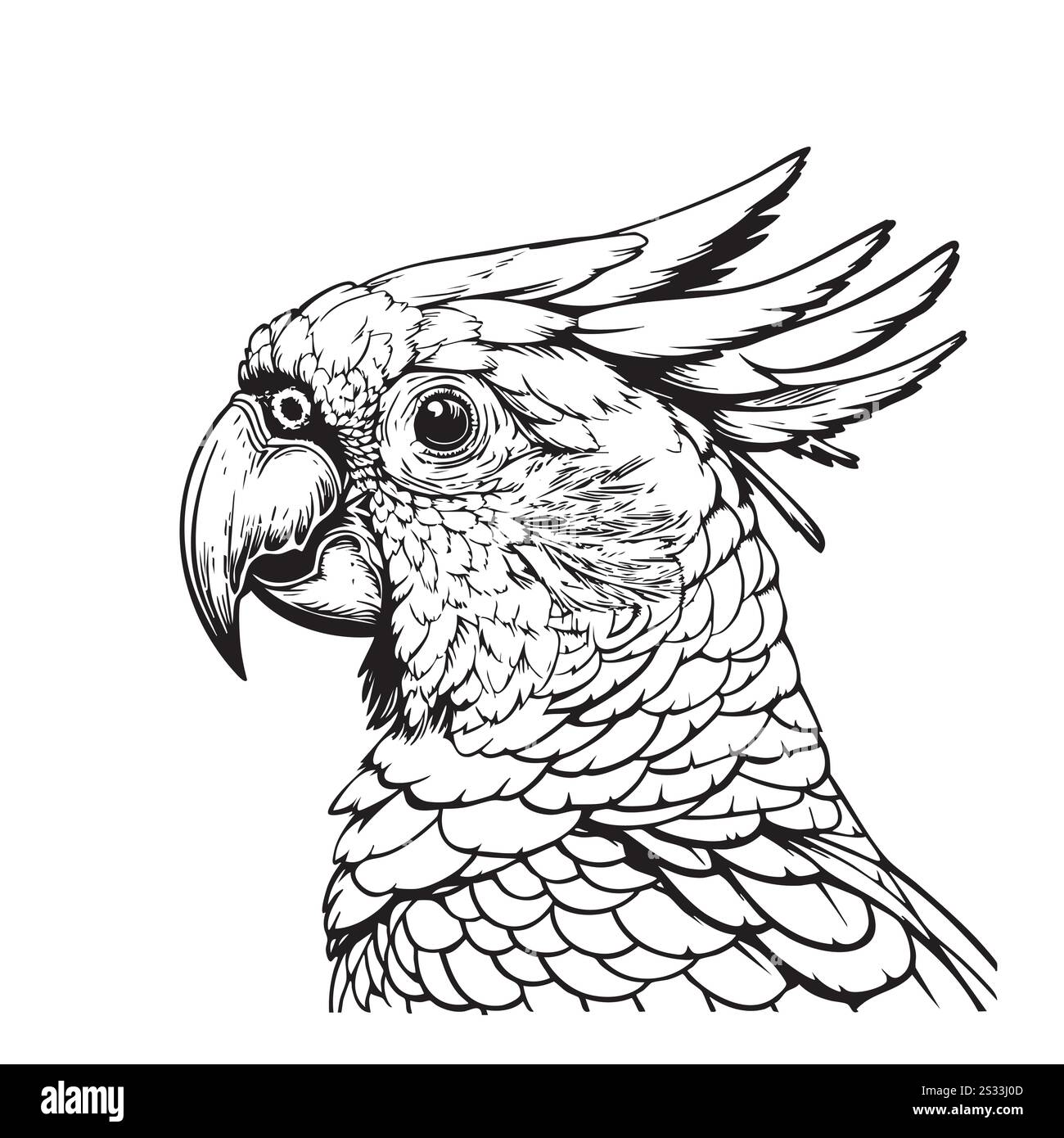 bozzetto di colore della testa del pappagallo cockatoo in bianco e nero Illustrazione Vettoriale