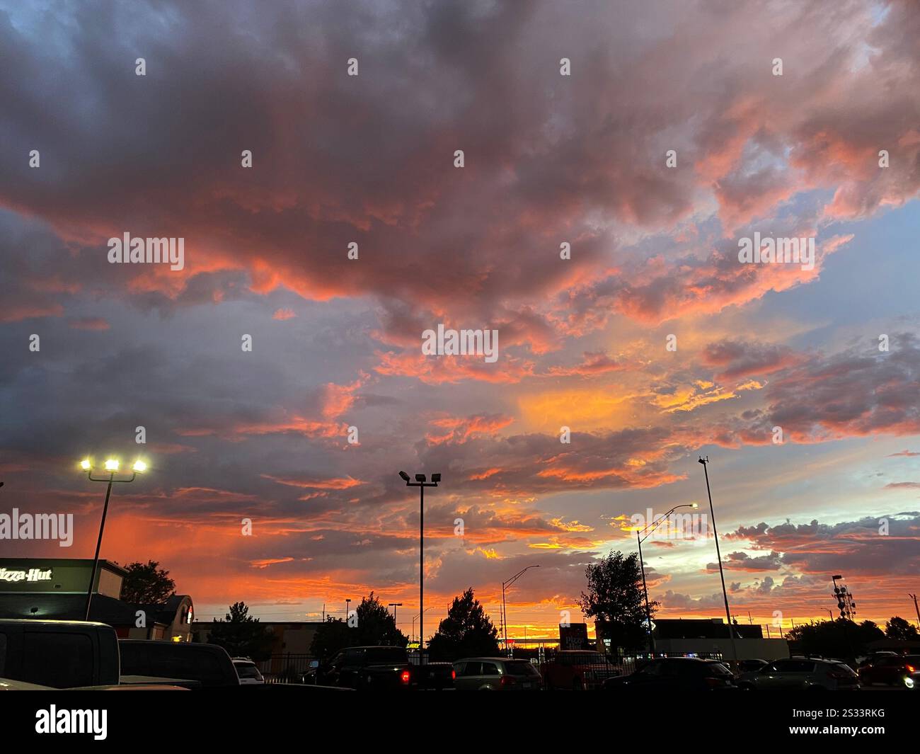 Alberi del Montana con ghiacciaio - Immagine stock catturata con smartphone