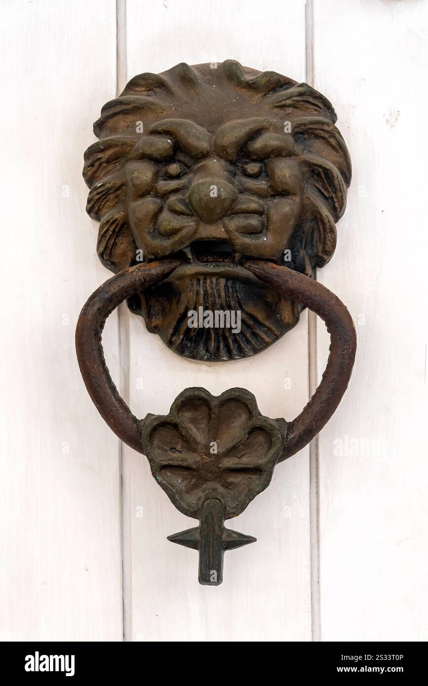 Lion's Figure a una porta. Centro storico, Cartagena de Indias, Colombia Foto Stock