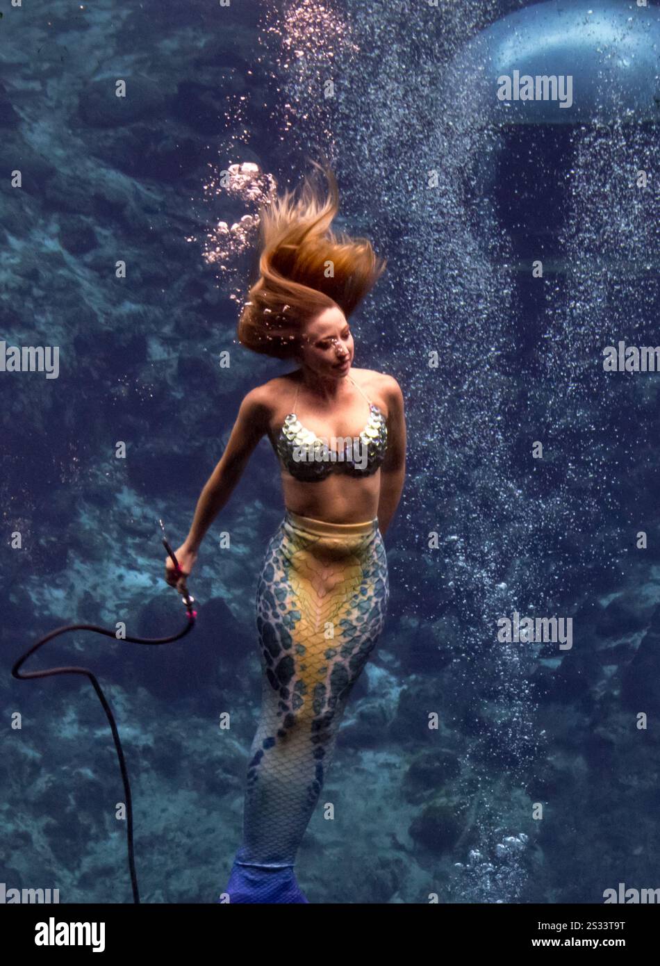 Spettacolo di Sirenette al Weeki Wachee State Park, Florida Foto Stock