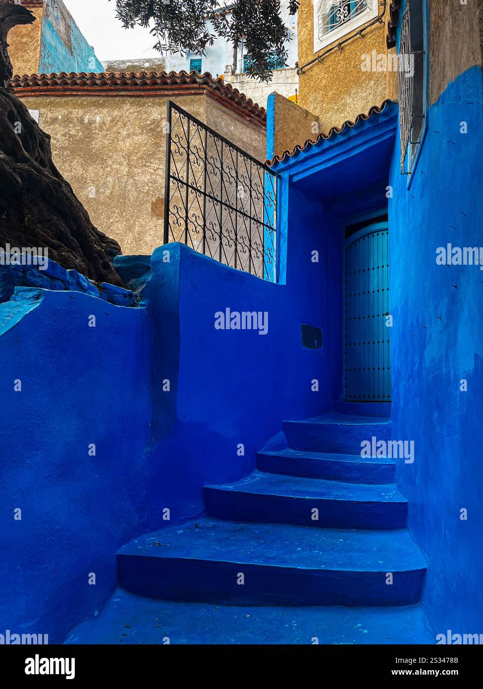 Pareti dipinte di blu della Perla Blu, Chefchaouen, Chefchaouen, Marocco, Africa Foto Stock