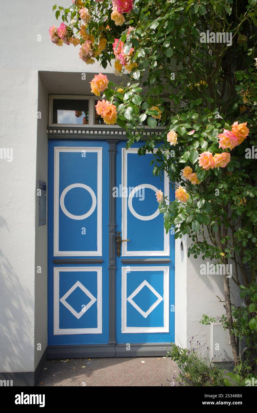 Ingresso della casa con rosa arrampicata color salmone e porta decorativa blu Foto Stock