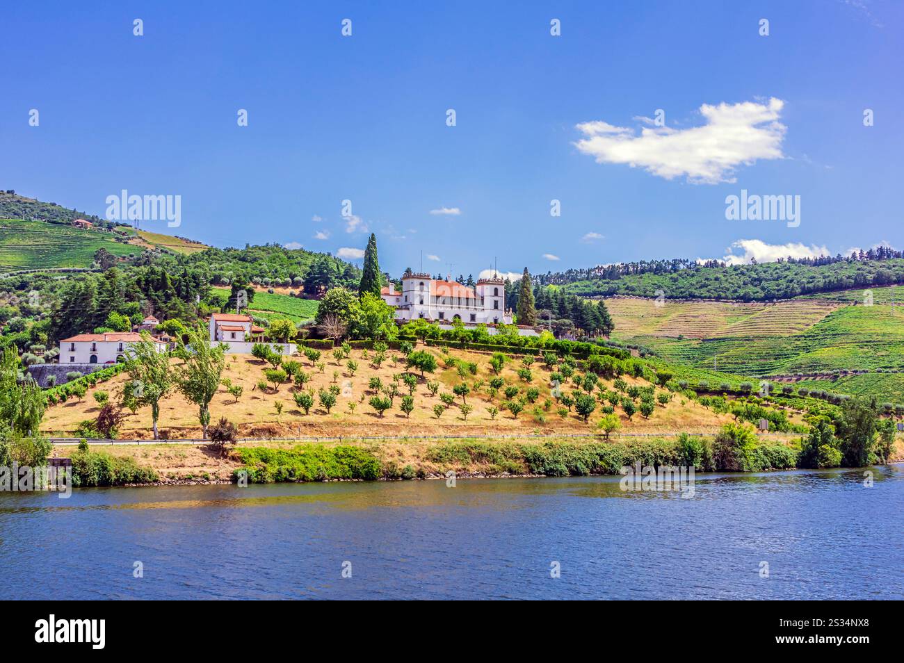 Vista dal fiume Douro agli edifici nei vigneti, al distretto di Viseu, Portogallo Foto Stock