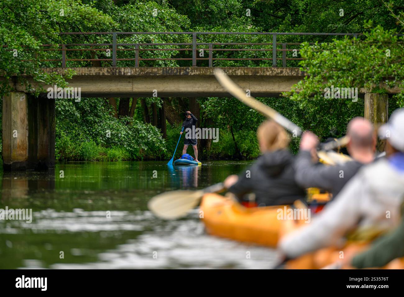 SUP, stand up paddle e kayak i turisti viaggiano sul torrente Spreewald, kayak, escursioni in acqua, escursioni in acqua, area ricreativa locale, UNES Foto Stock