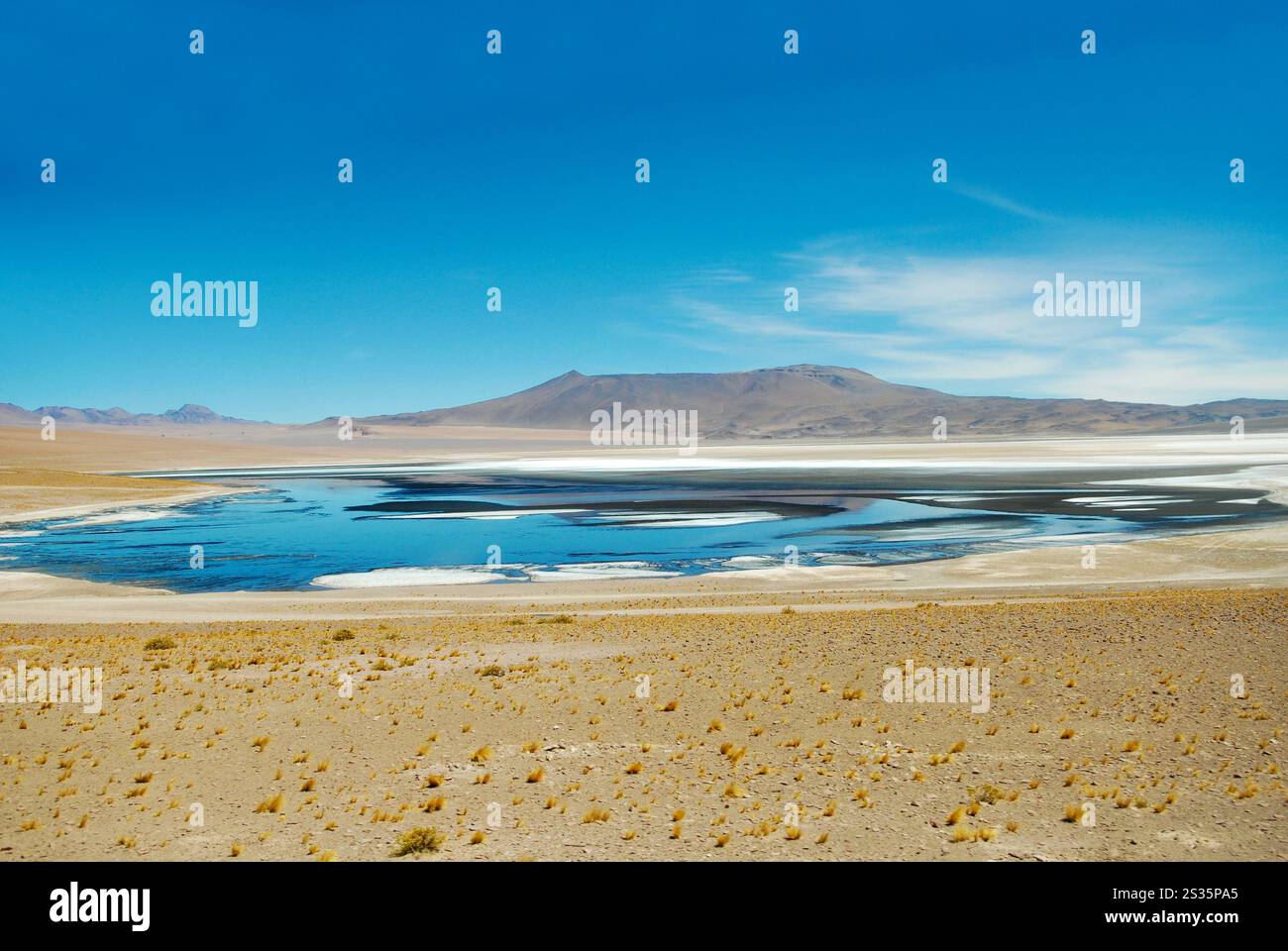 San Pedro de Atacama, Cile, 15 dicembre 2024. Salar e la laguna di Loyoques, lungo il percorso delle saline, nel deserto di Atacama. Foto Stock