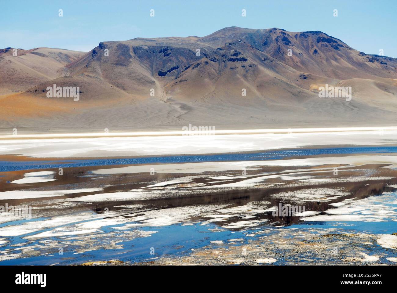 San Pedro de Atacama, Cile, 15 dicembre 2024. Laguna Negra, sulla via delle saline, nel deserto di Atacama. Foto Stock