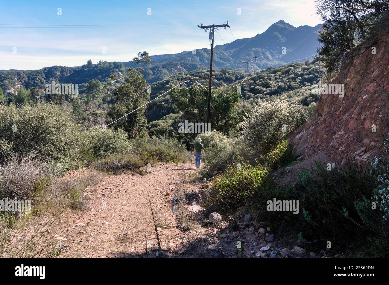 I bastoncini sono visti come un uomo che cammina attraverso il canyon Topanga vicino a Malibu, California. Foto Stock
