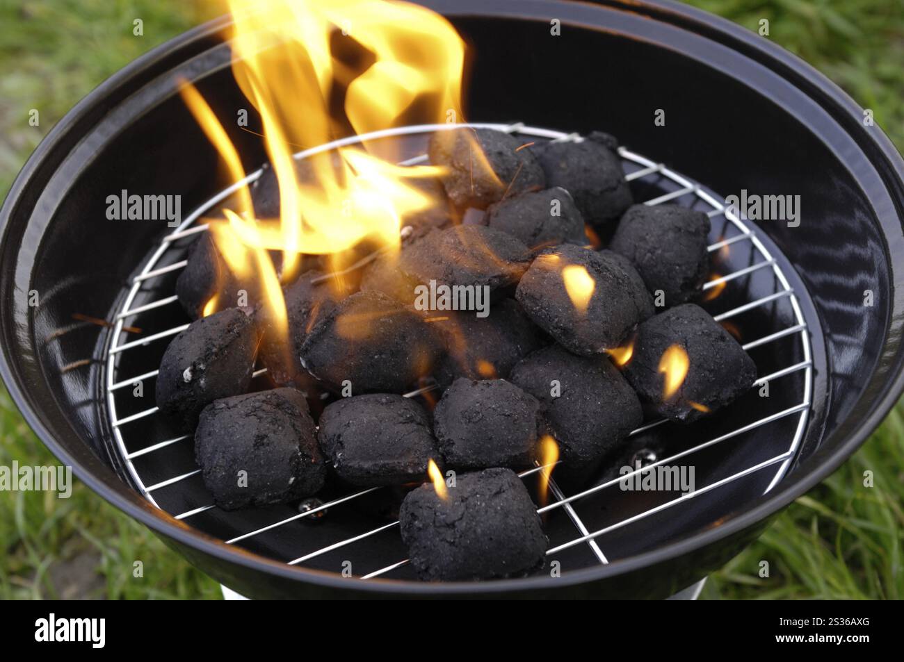 Bricchette di carbone a bruciare in un piccolo barbecue portatile in piedi su erba verde sullo sfondo Foto Stock