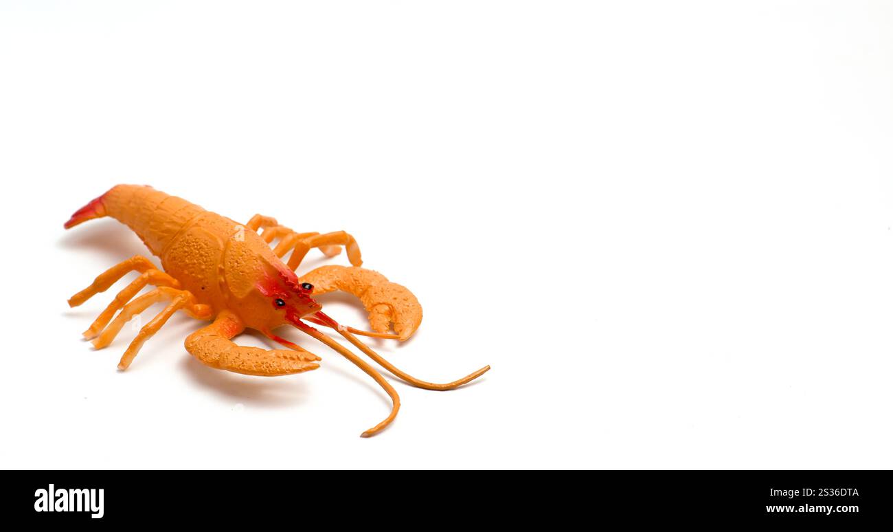 Un giocattolo per bambini a forma di gambero su sfondo bianco isolato e la composizione fotografica lascia spazio Foto Stock