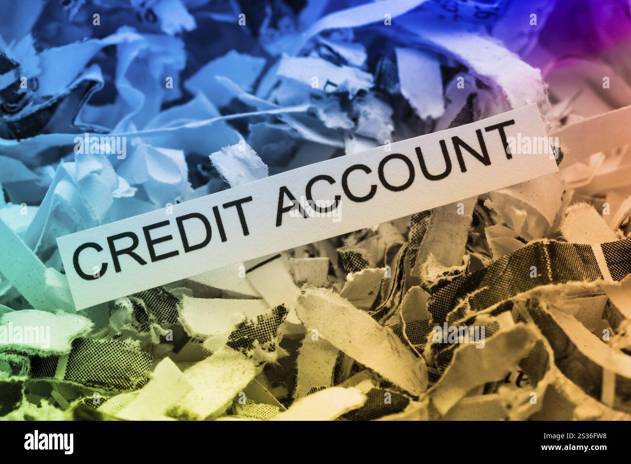 La carta si distrugge con la parola chiave account di credito, foto simbolica per la distruzione dei dati, il finanziamento e la solvibilità Foto Stock
