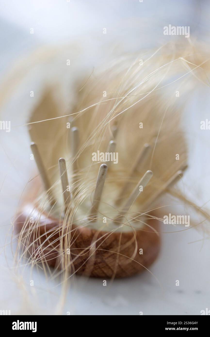 Una spazzola con i capelli. Inizio della perdita di capelli e alopecia Austria Foto Stock