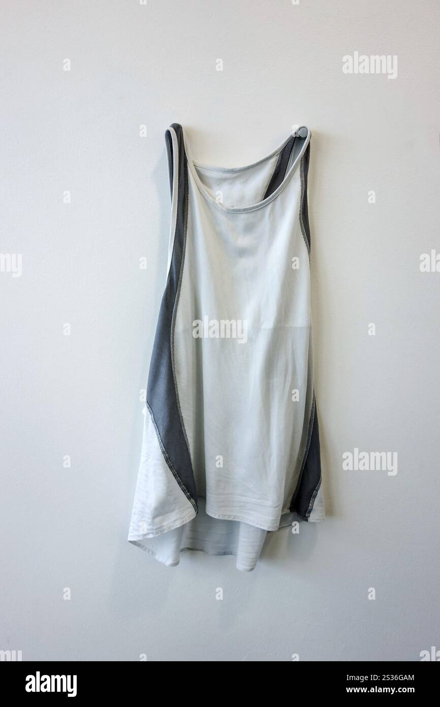 T-shirt su un gancio, foto simbolica per l'Austria esausta, impotente, bruciata Foto Stock