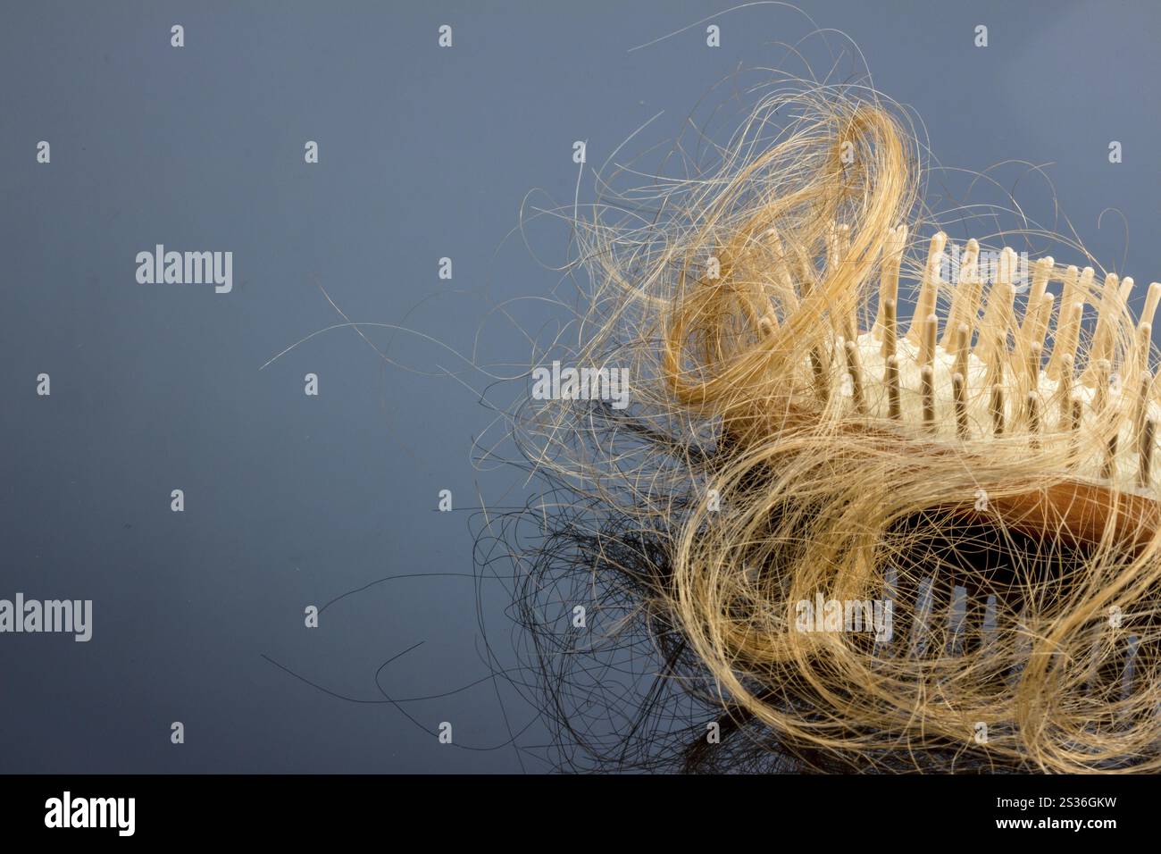 Una spazzola con i capelli. Inizio della perdita di capelli e alopecia Austria Foto Stock