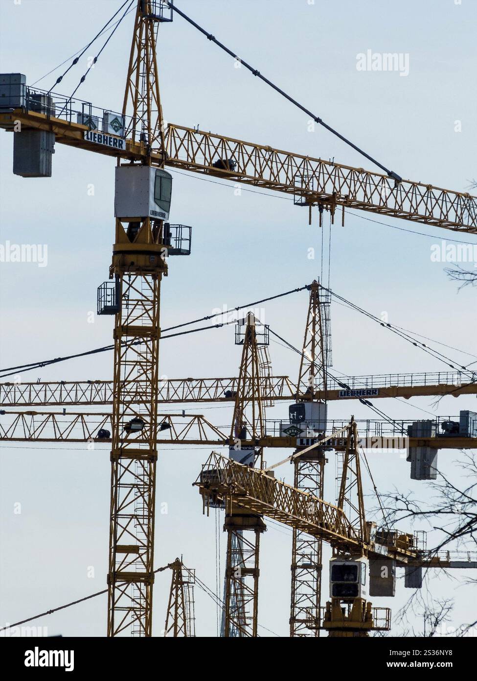 In un cantiere sono in uso diverse gru edili. Boom nel settore delle costruzioni Foto Stock