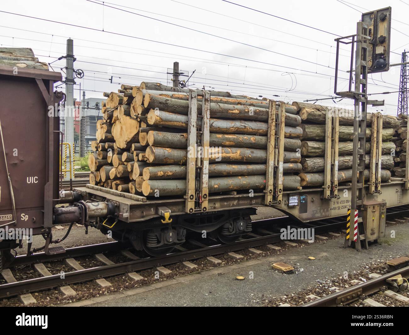 Carro della ferrovia carico di legno. Treno merci. Traffico merci sulla ferrovia Austria Foto Stock
