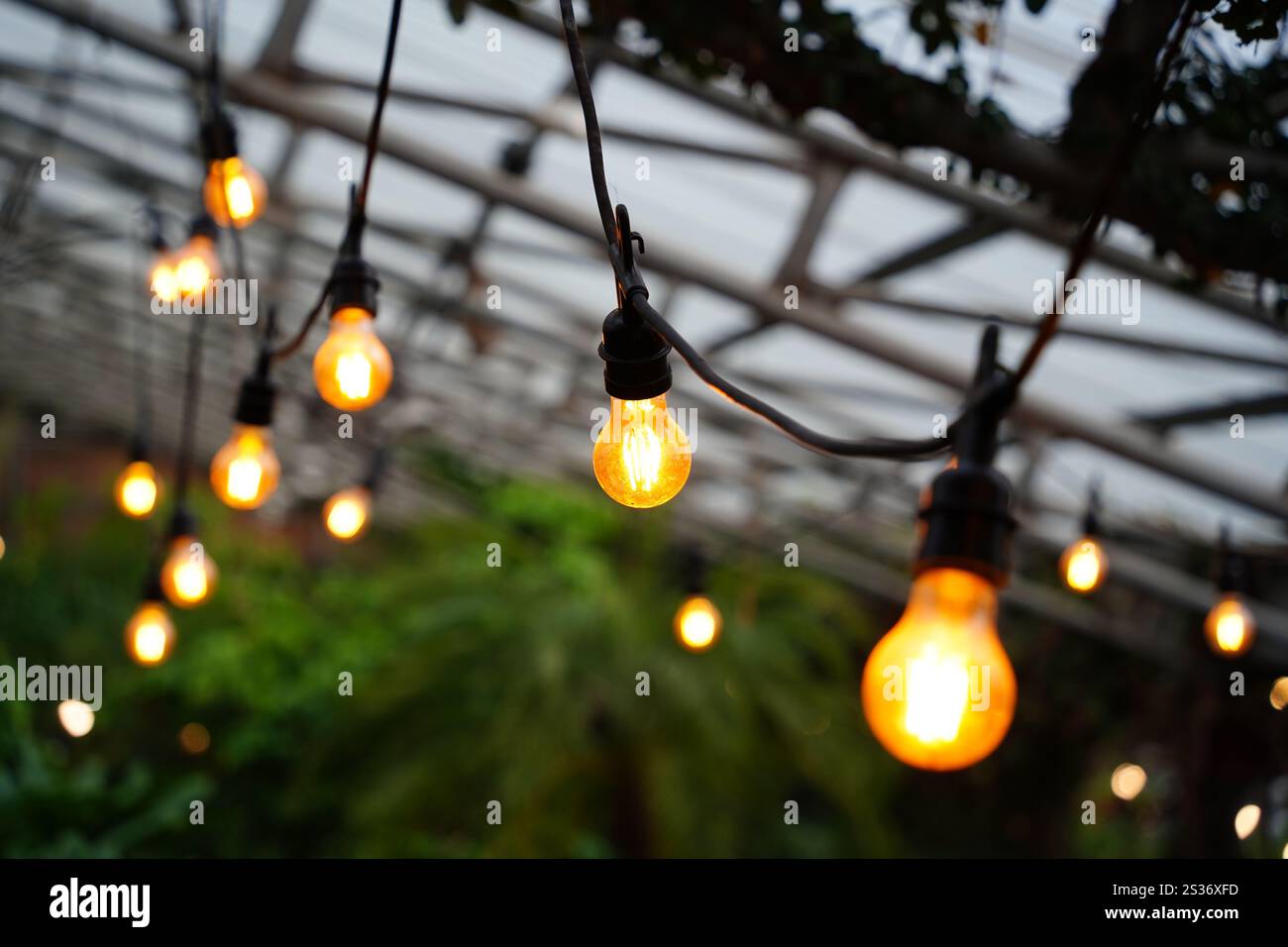 Lampadine decorative vintage appese in giardino Foto Stock