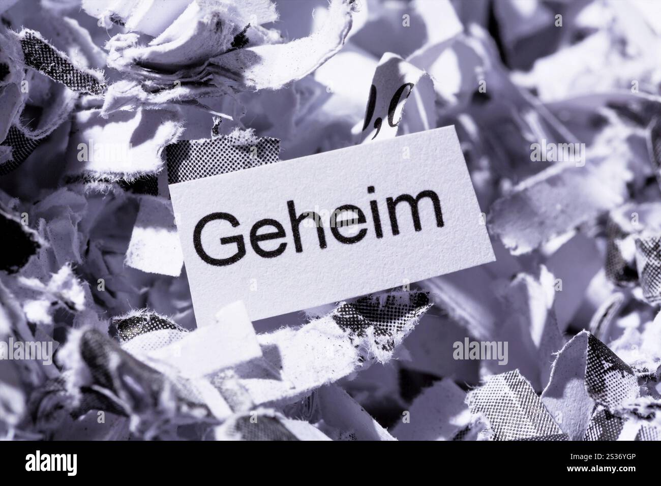 La carta si distrugge con la parola chiave Secret, foto simbolica per la distruzione dei dati, la segretezza e lo spionaggio industriale Foto Stock
