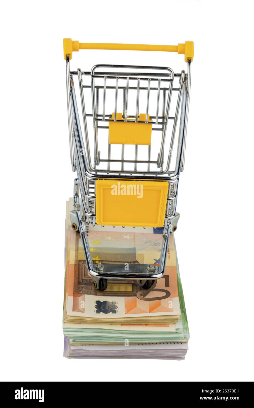 Carrello per la spesa sulle banconote, foto simboliche per lo shopping, il potere d'acquisto, la stampa del denaro e l'inflazione Foto Stock