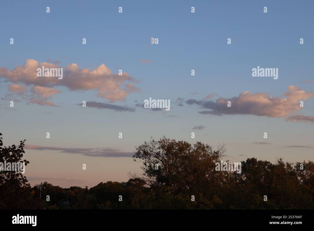 primo quarto di luna in alto nei cieli blu sopra nuvole e alberi sparpagliati Foto Stock