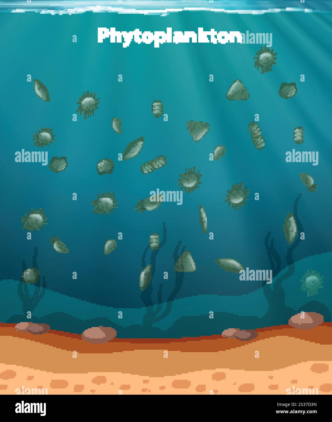 Rappresentazione colorata di diverse specie marine di fitoplancton Illustrazione Vettoriale