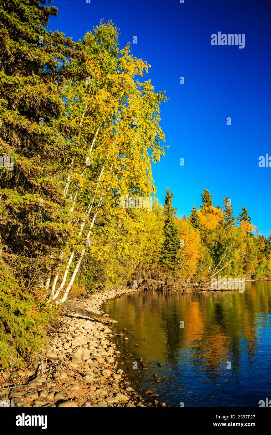 Una splendida giornata autunnale con un lago sullo sfondo. Gli alberi sono pieni di foglie e il cielo è limpido Foto Stock