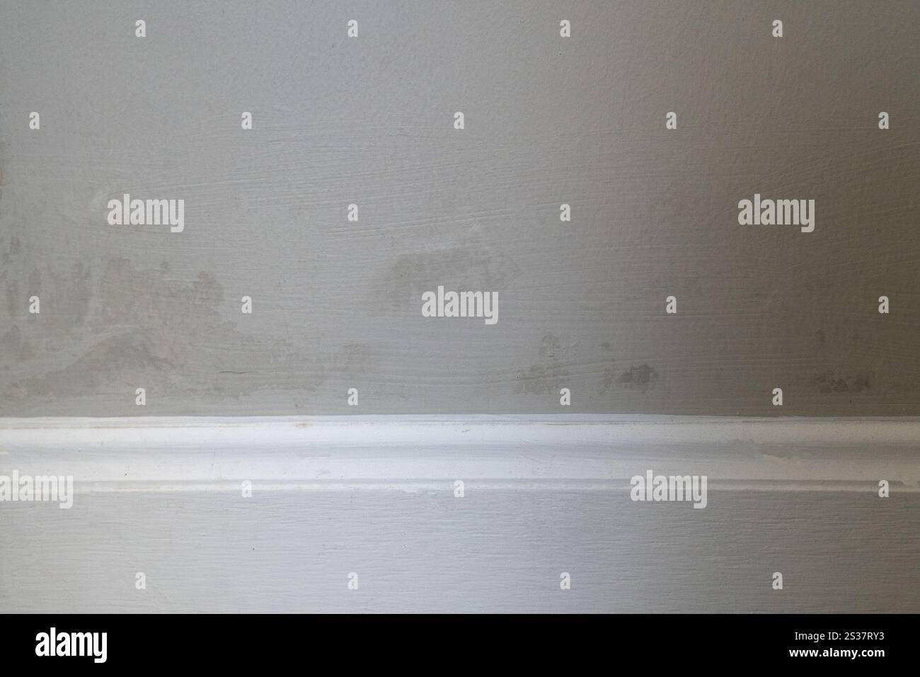 La muffa cresceva nell'angolo della sala dopo che la porta di allagamento aveva una crepa e si appoggiava al muro. La porta è fatta di legno e ha un metallo Foto Stock