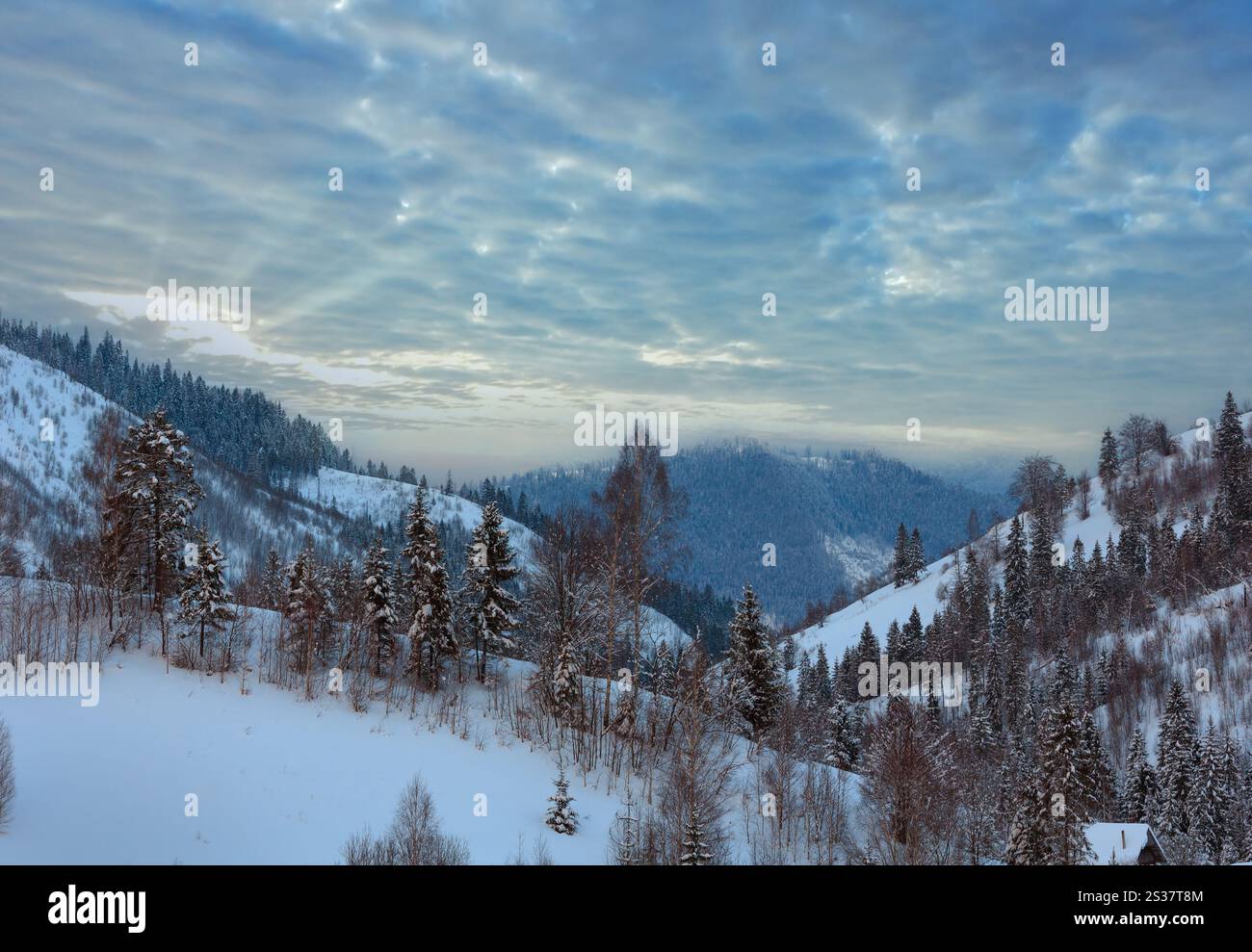 Cielo di sera con la nuvola rosa durante l'inverno ucraino Montagne dei Carpazi. Foto Stock