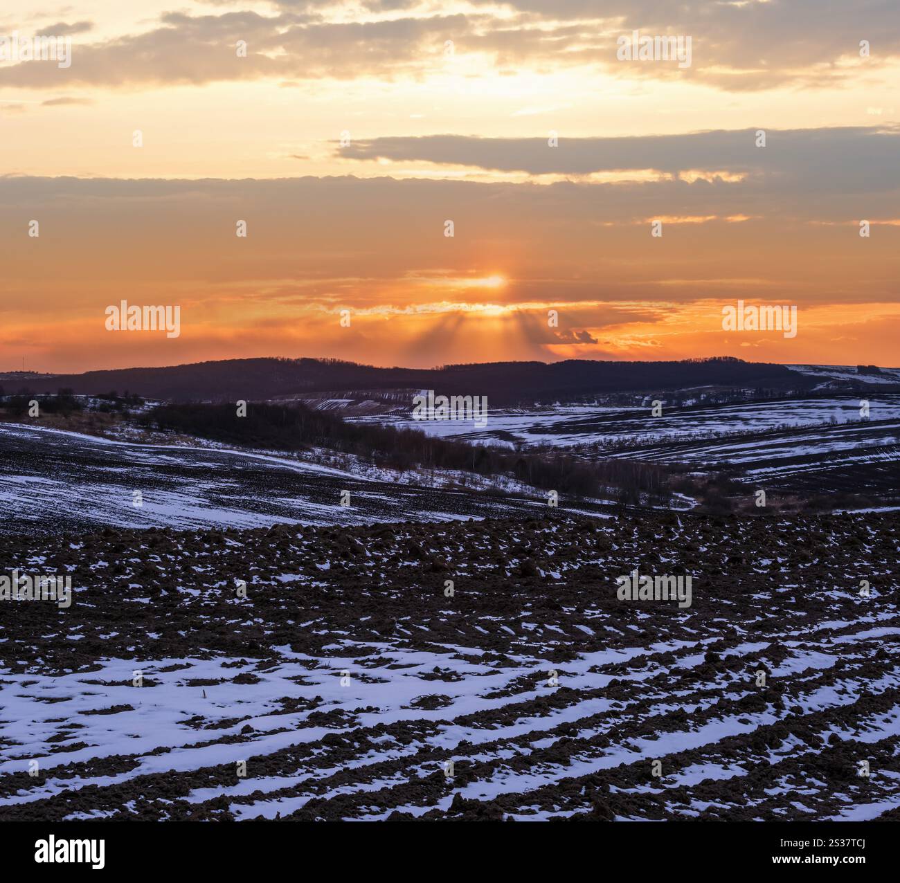 Terra nera, terra arabile coperta dall'ultima neve, primavera primaverile. Calmo tramonto serale nella campagna Ucraina, regione di Lviv. Foto Stock