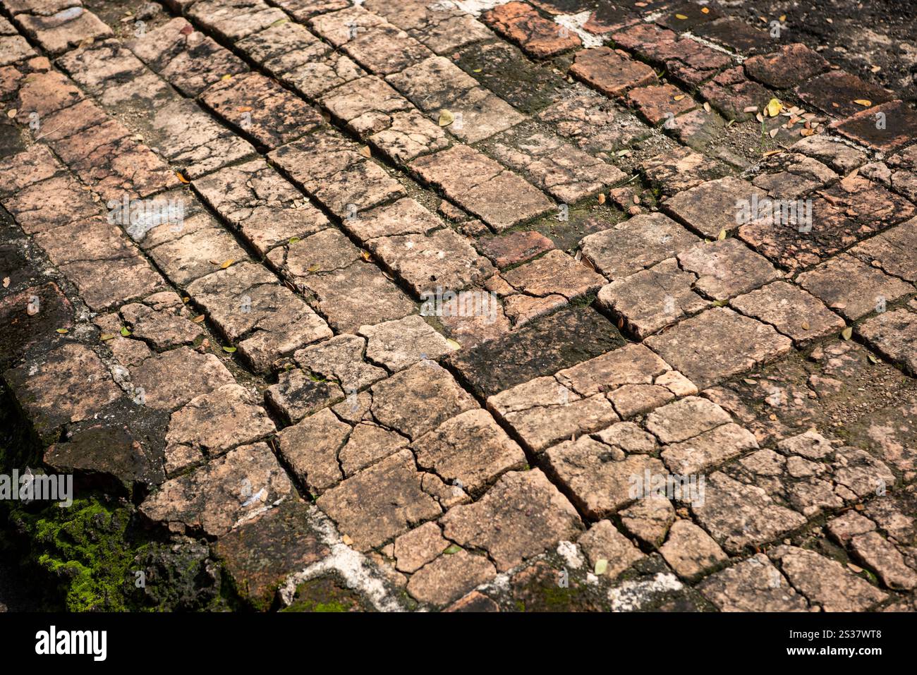 Il pavimento in pietra di Wat Mahathat Worawihan nella città e nella provincia di Ratchaburi in Thailandia, Thailandia, Ratchaburi, 13 novembre, 2023. THAILANDIA Foto Stock