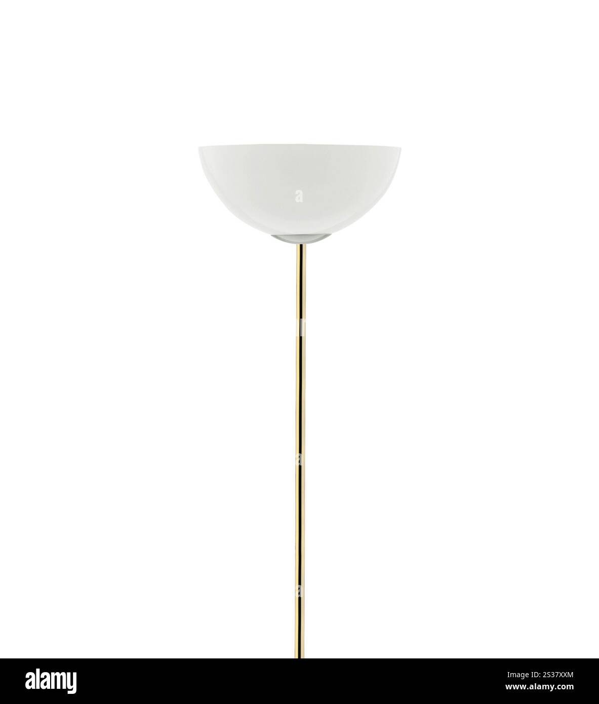 piantana alta isolata su sfondo bianco. piantana alta isolata su bianco Foto Stock