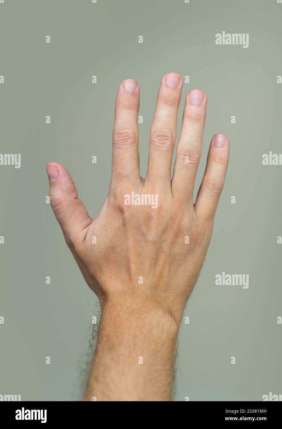 Palmo di mano maschile. Scarica foto stock. Palmo di mano maschile Foto Stock