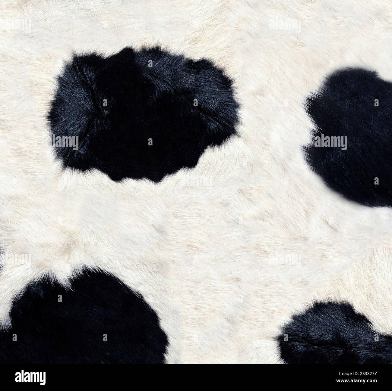 Texture o sfondo della pelle di mucca. Consistenza della pelle di mucca Foto Stock