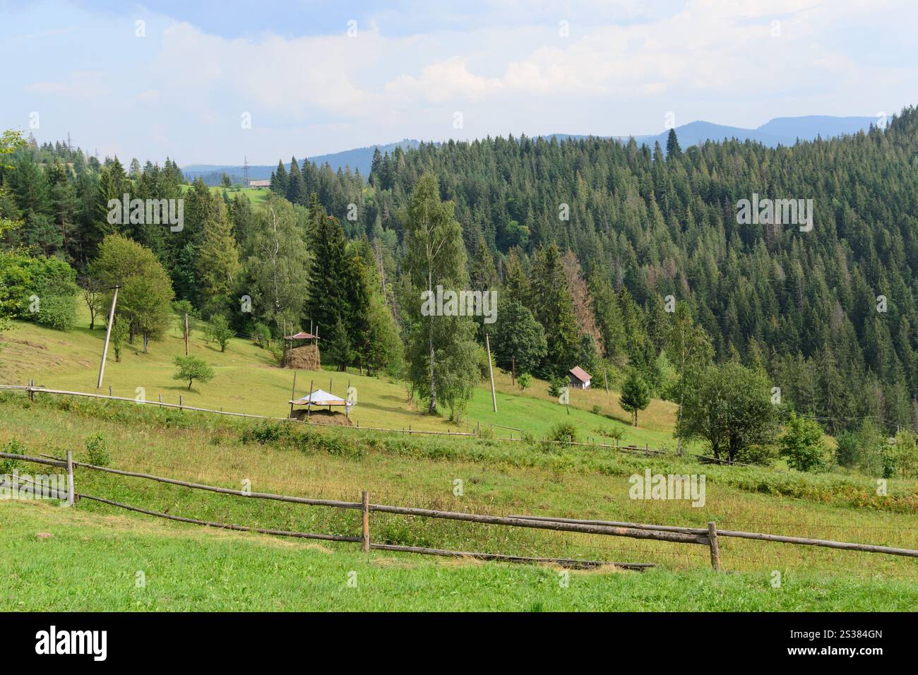 Paesaggio alte montagne prato e boschi fienili. Foto natura. Paesaggio alte montagne prato e boschi fienili Foto Stock