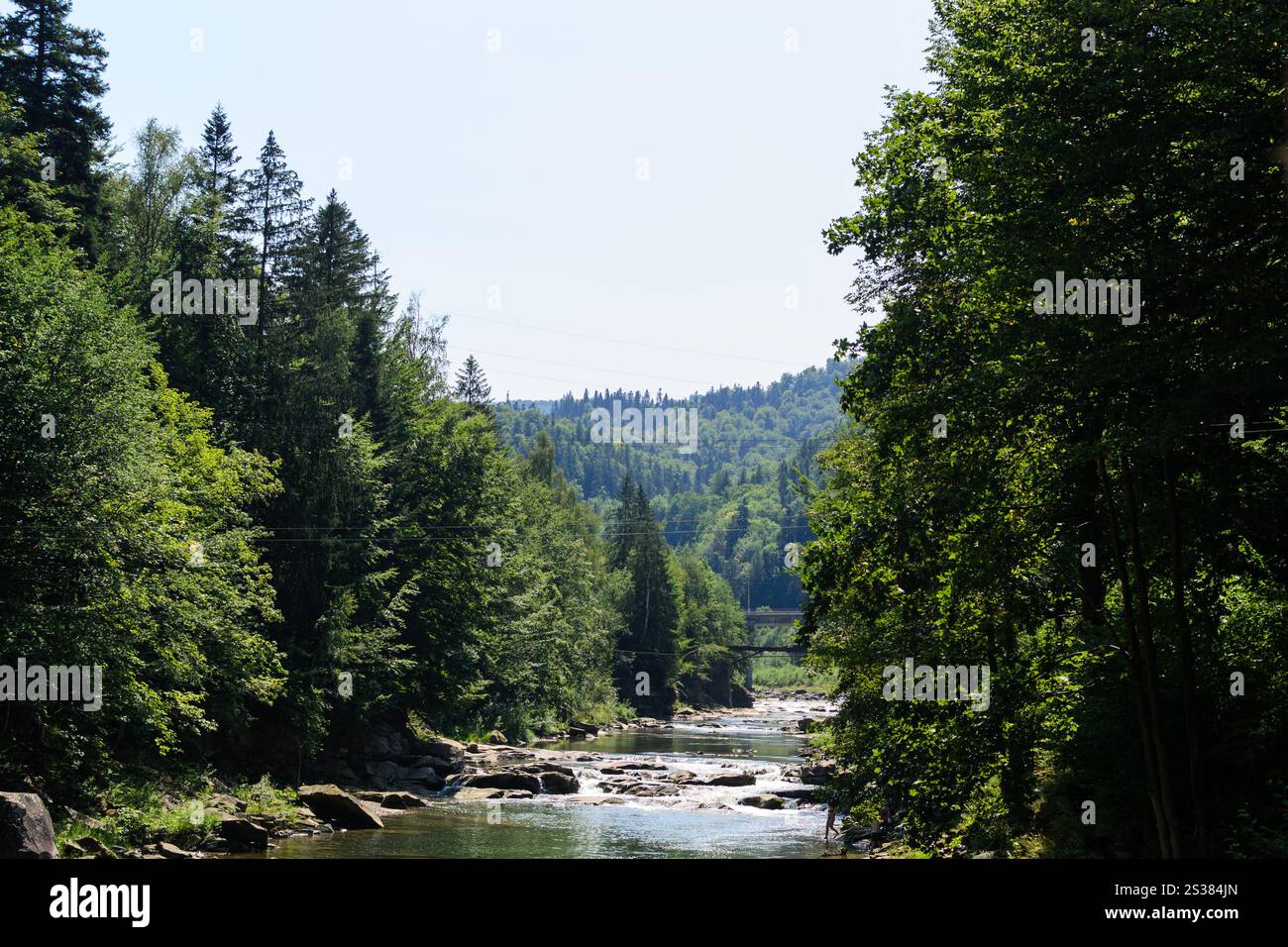 Fiume con rapide e pietre tra foreste di conifere. Foto natura. Fiume con rapide e pietre tra foreste di conifere Foto Stock