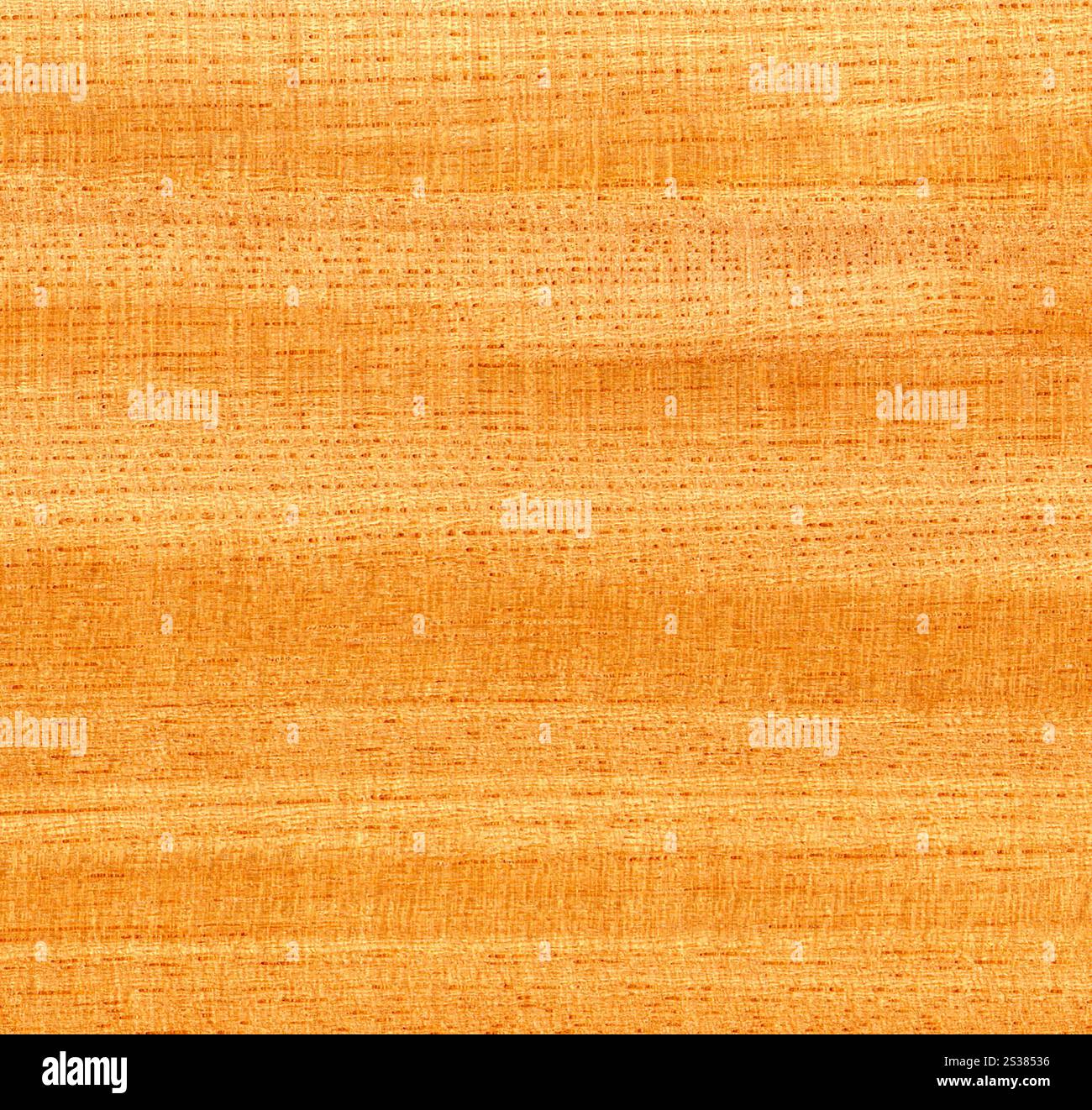 fondo o struttura in legno naturale. sfondo in legno naturale Foto Stock