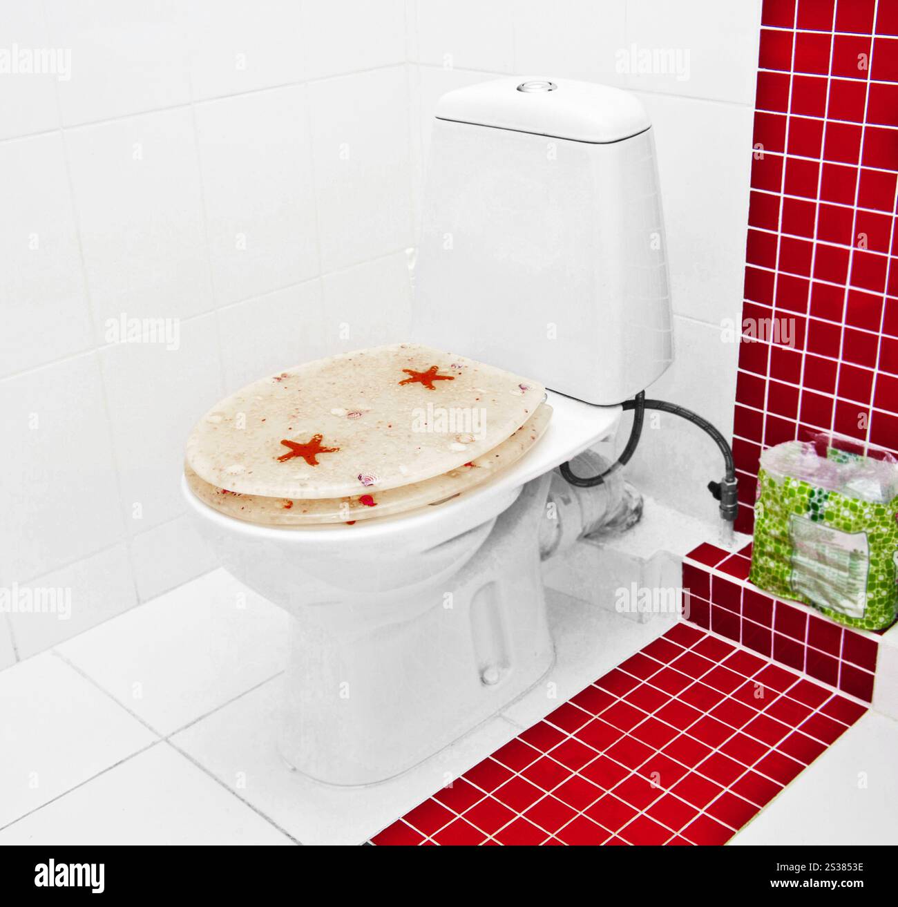 il bagno era bello e moderno. bagno moderno con wc Foto Stock