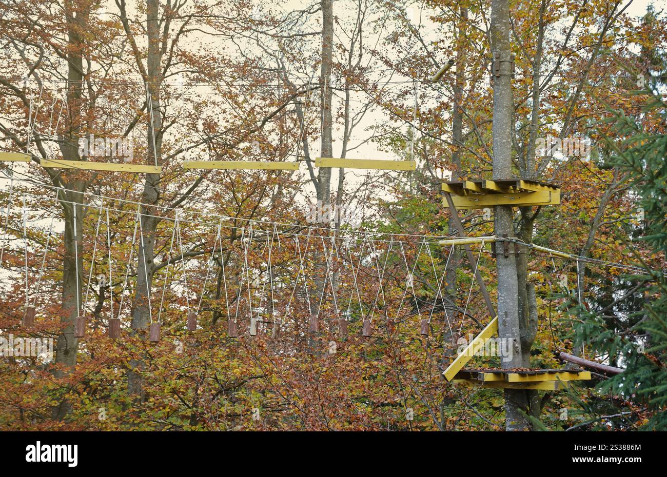 Ponte di corda nel parco avventura sulle cime degli alberi per arrampicate sugli alberi e sport, corsi di arborismo o di corde di accrobranche, parco all'aperto con telefili nella foresta. Foto Stock
