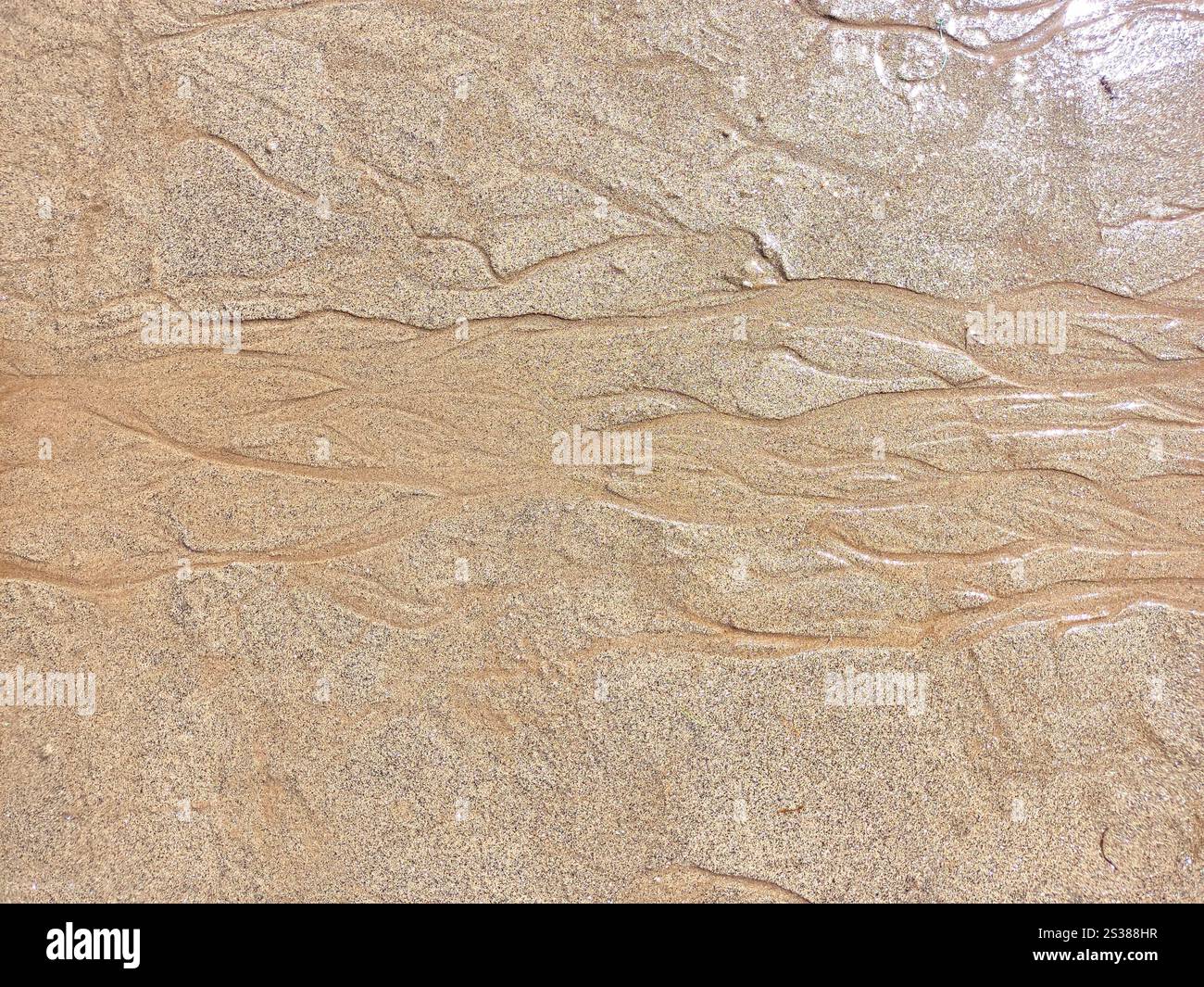 Sabbia bagnata da spiaggia. Spiaggia sabbiosa sullo sfondo beige. Svuotare il litorale pulito. Sabbia bagnata da spiaggia. Spiaggia sabbiosa sullo sfondo beige. Foto Stock